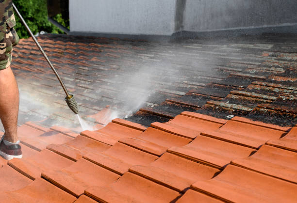Best Commercial Building Pressure Washing  in St Jaco, IL