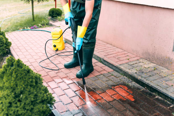 Best Exterior Home Cleaning  in St Jaco, IL