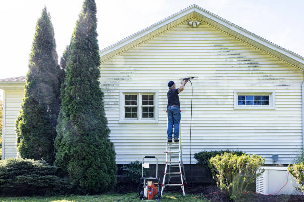Best Commercial Pressure Washing  in St Jaco, IL