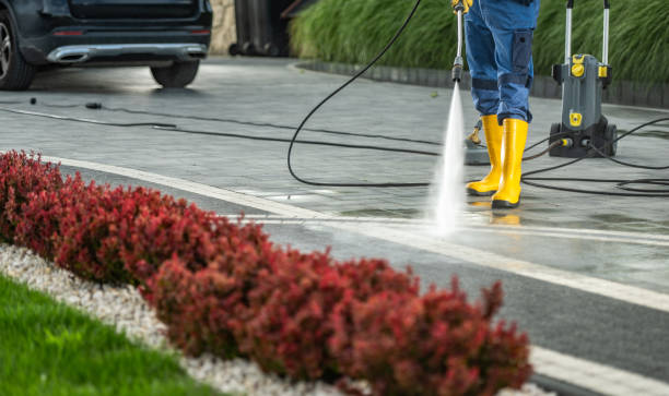 Best House Pressure Washing  in St Jaco, IL
